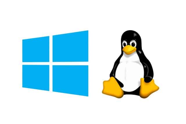 Windows and Linux logos